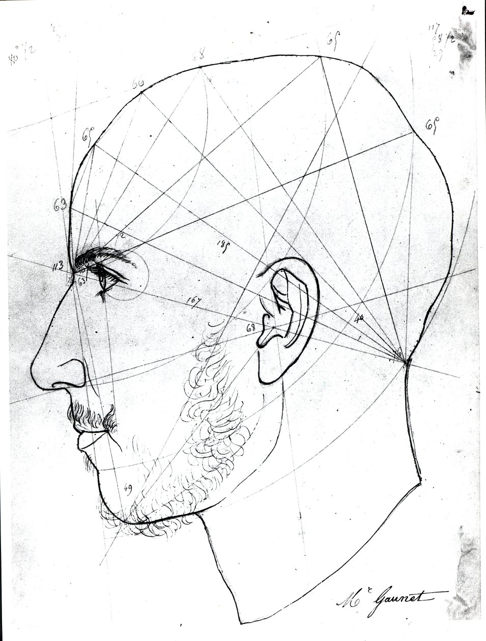 Phrenological study, from a manuscript of Doctor Philippe Jean Pelletan library by French School