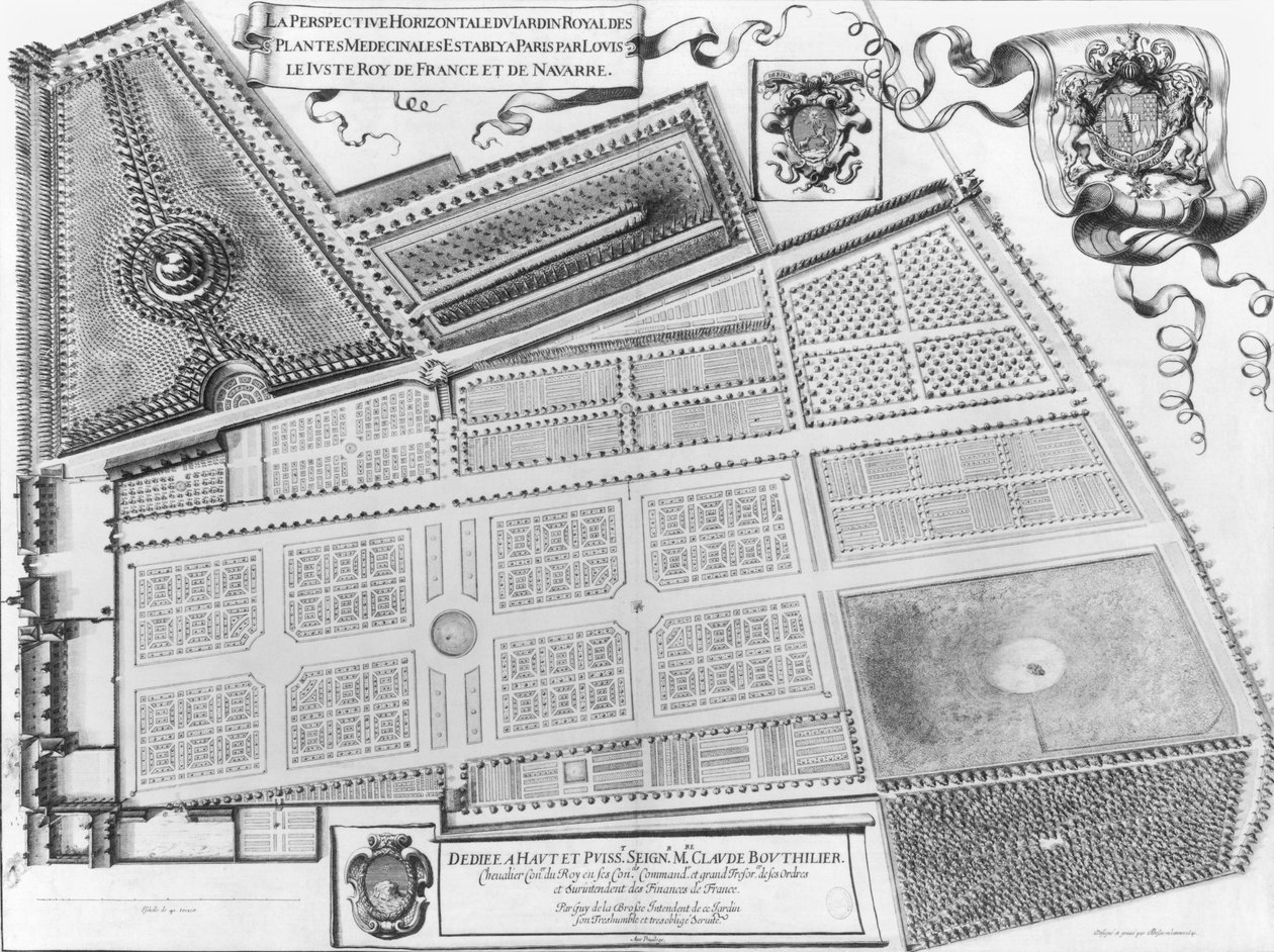 Plan of the Royal Garden of the Medicinal Plants in Paris, 1641 by French School