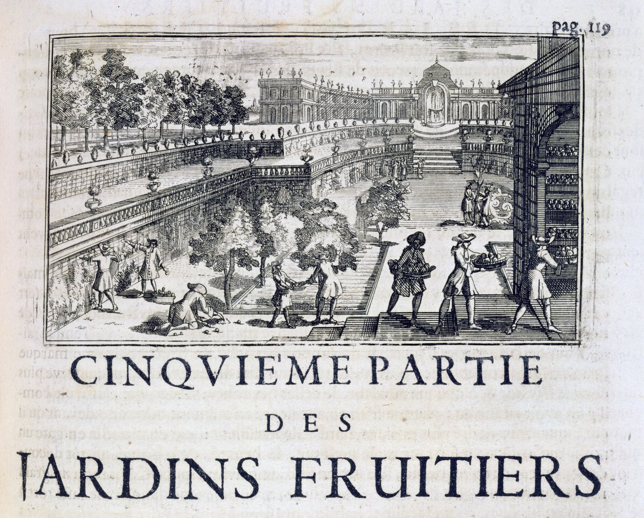 Planting fruit trees, from Le Parfait Jardinier, ou Instruction pour les Jardins Fruitiers et Potager, by Jean de la Quintinye, published 1695 by French School