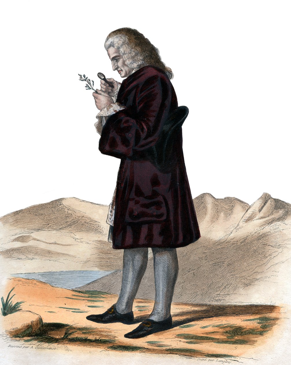 Portrait of Bernard de Jussieu by French School