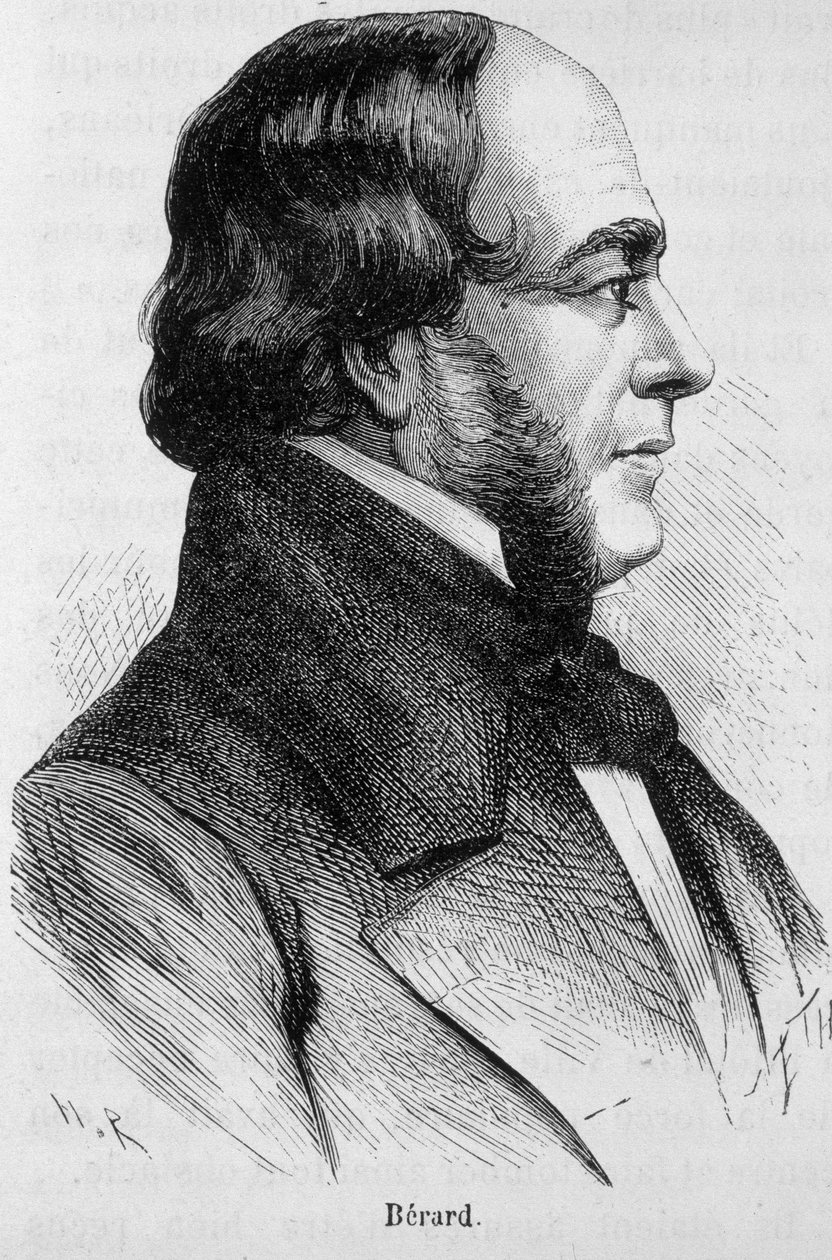 Portrait of Bérard - in L