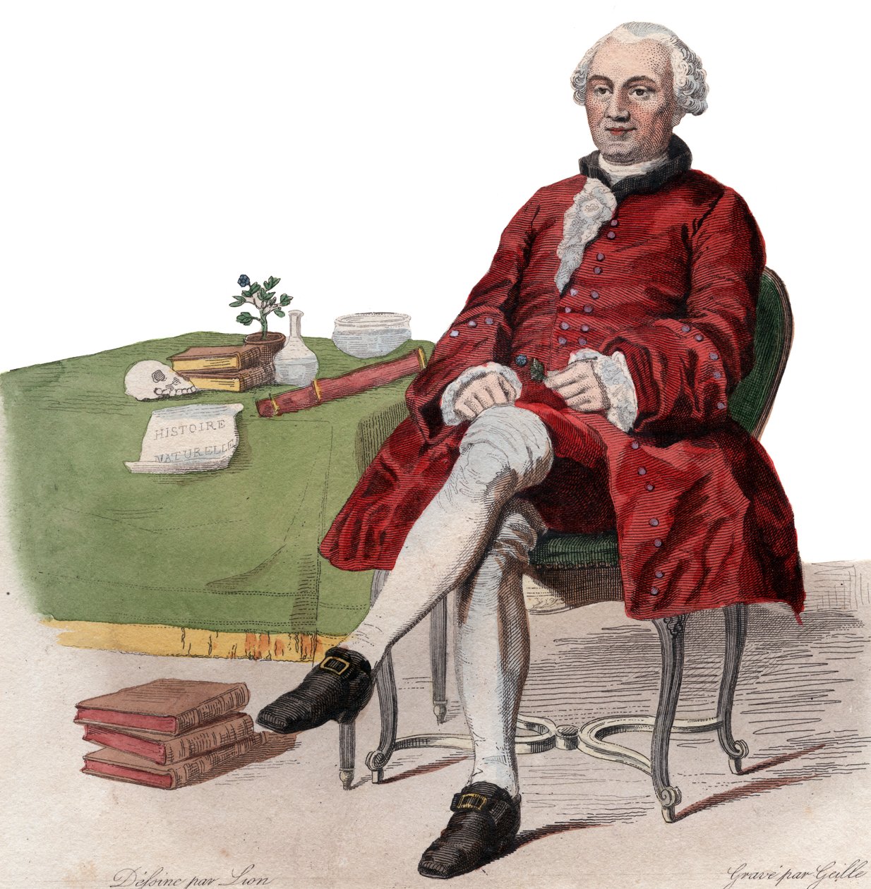 Portrait of Georges Louis Leclerc, Comte de Buffon (1707-1788), French naturalist by French School