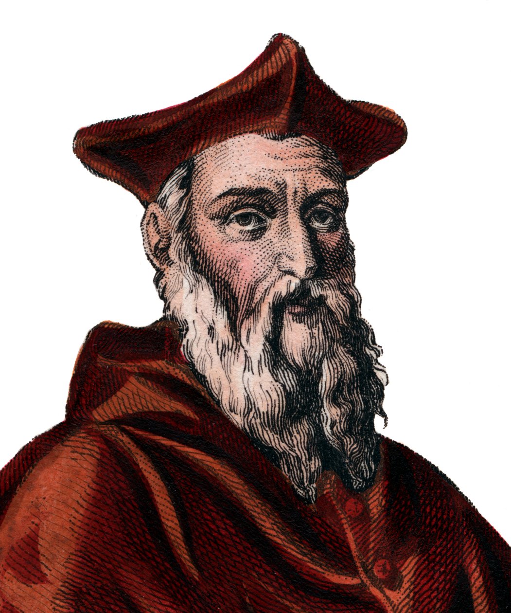 Portrait of Jean du Bellay, French cardinal and diplomat by French School