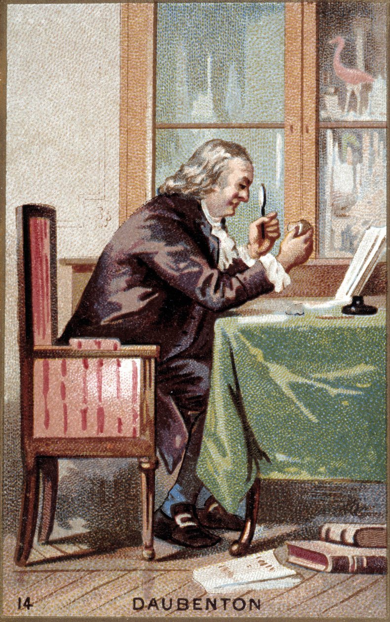 Portrait of Louis Jean Marie Daubenton (1716 - 1800), French naturalist by French School