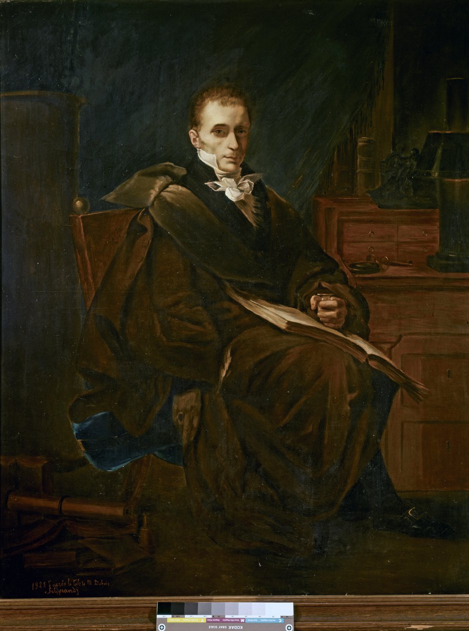 Portrait of René-Théophile-Hyacinthe Laennec by French School