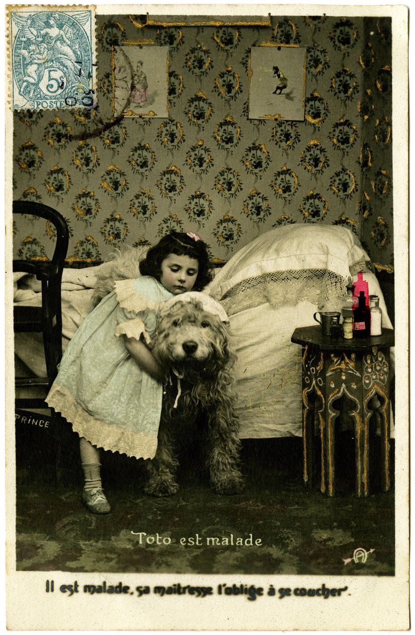 Postcard: Toto is Sick, His Mistress Forces Him to Go to Bed by French School