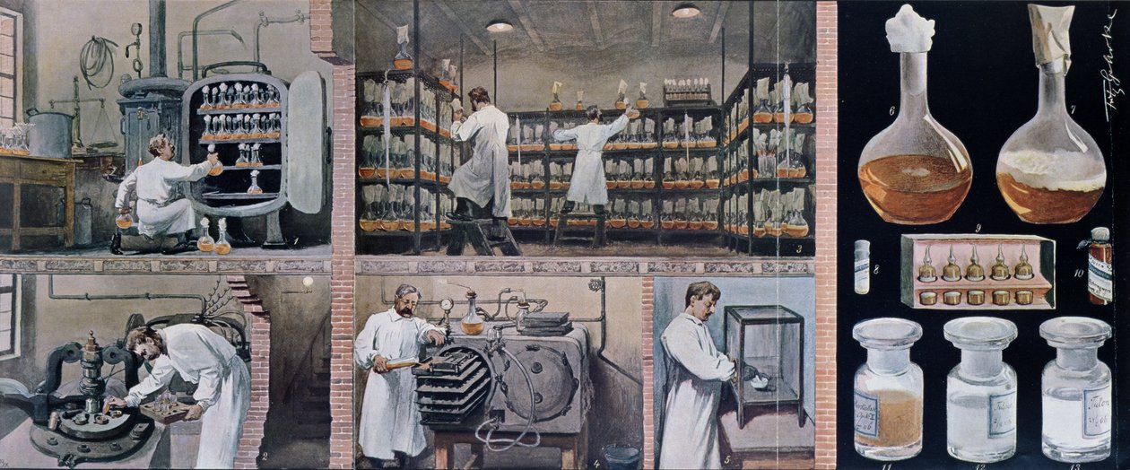 Preparing serums to combat tuberculosis, from Les Animaux, c.1900 by French School
