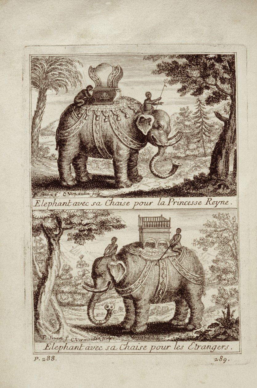 Royal elephants, from Voyage du Siam des Peres Jesuites by Guy Tachard, 1688 by French School