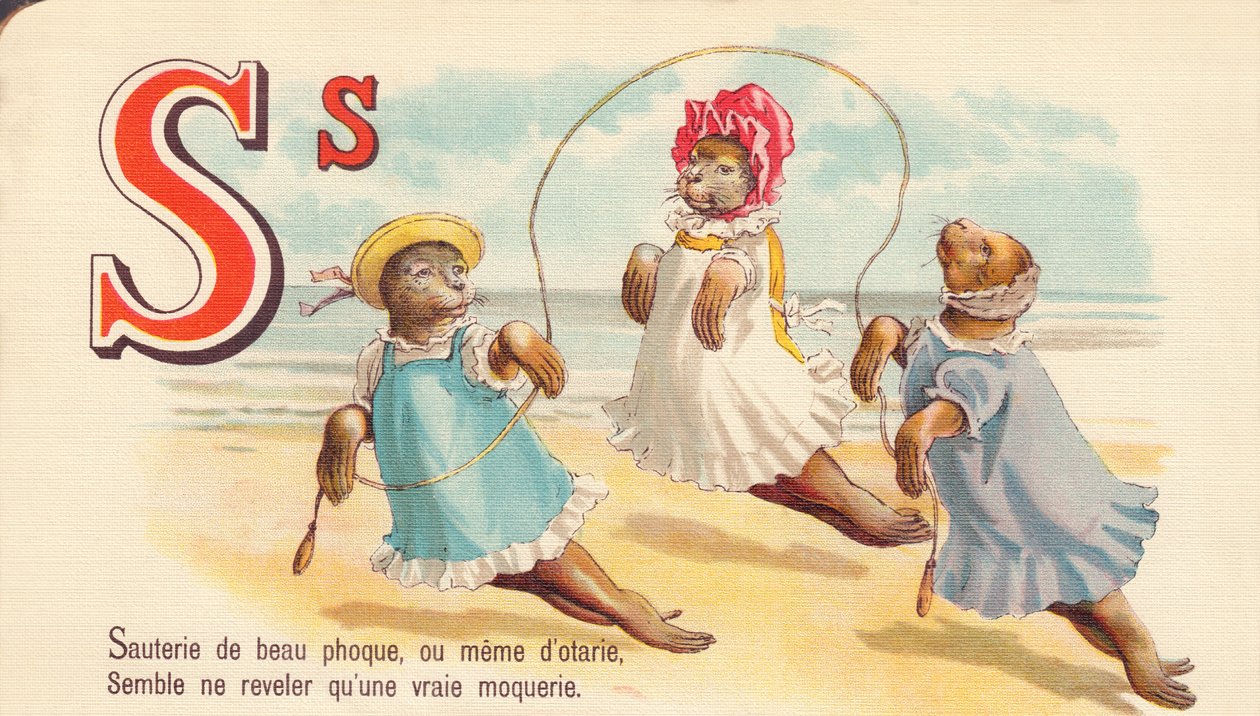 Sauté of beautiful seal, or even of seals, seems to reveal only a real mockery by French School