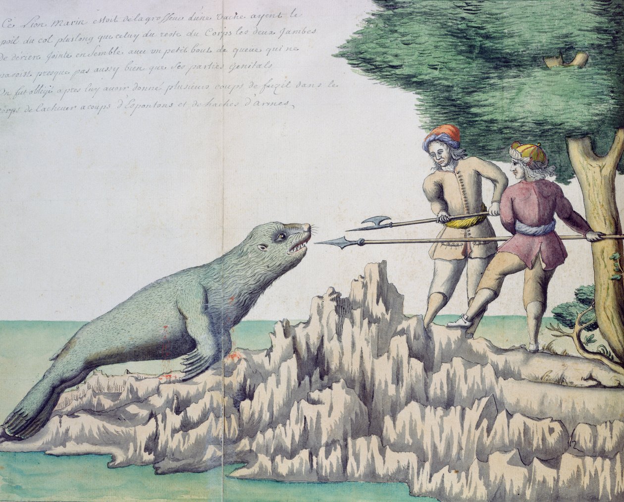 Sea Lion near the Strait of Magellan by French School