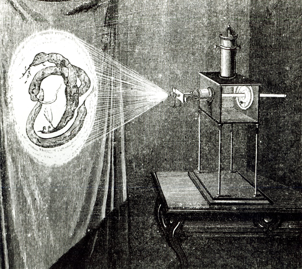 Solar Microscope, from Les Grandes Inventions Anciennes et Modernes by Louis Figuier, Paris, 1861 by French School