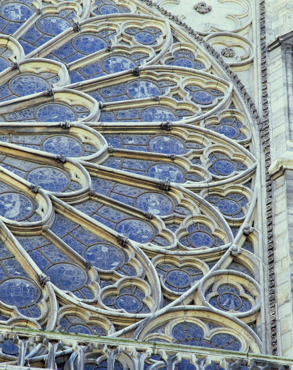 South rose window by French School