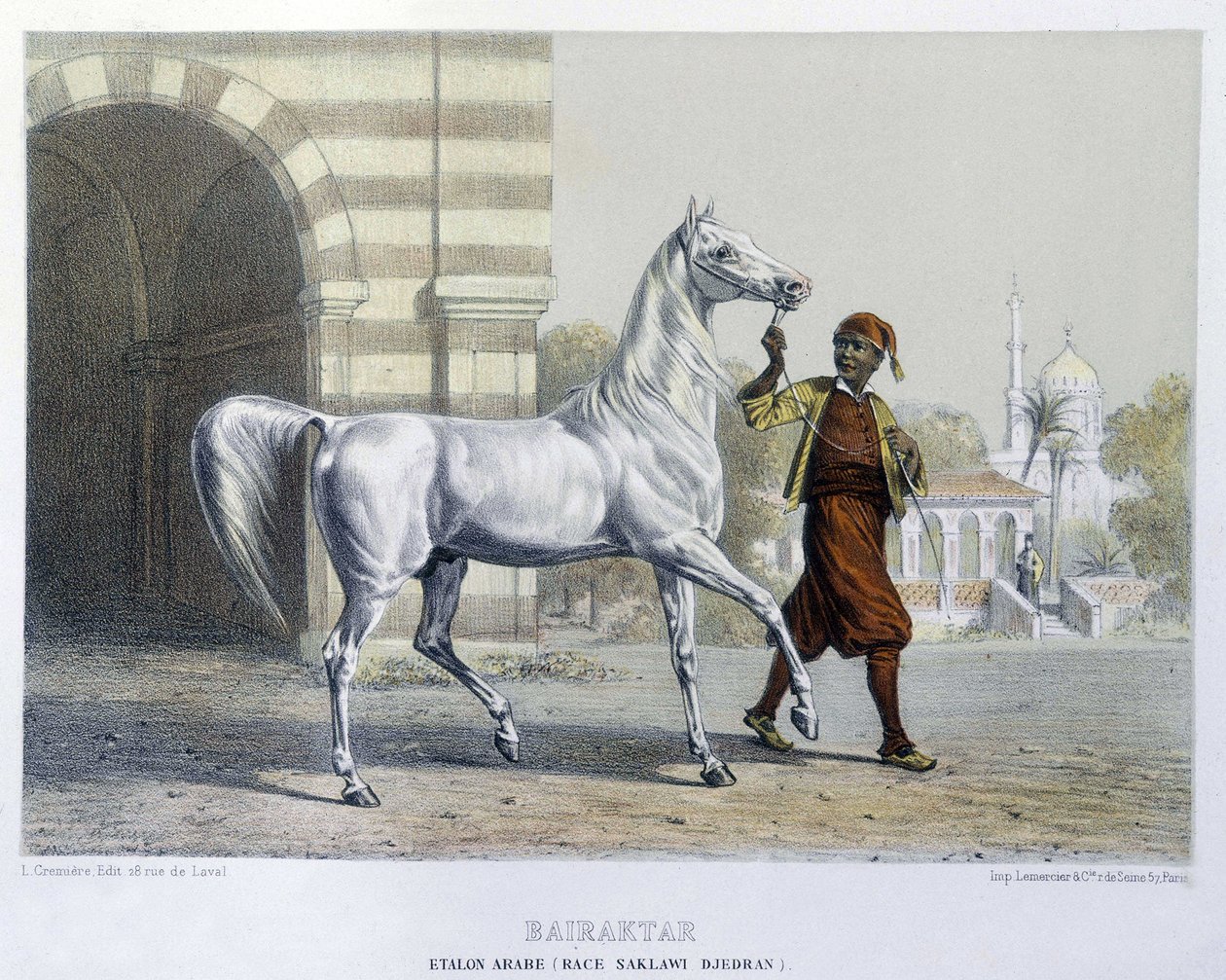 Arab Stallion, Bairaktar by French School