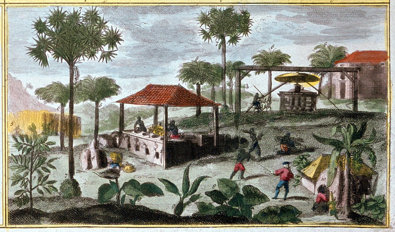 Sugar production in the West Indies, detail of 00155 - in 