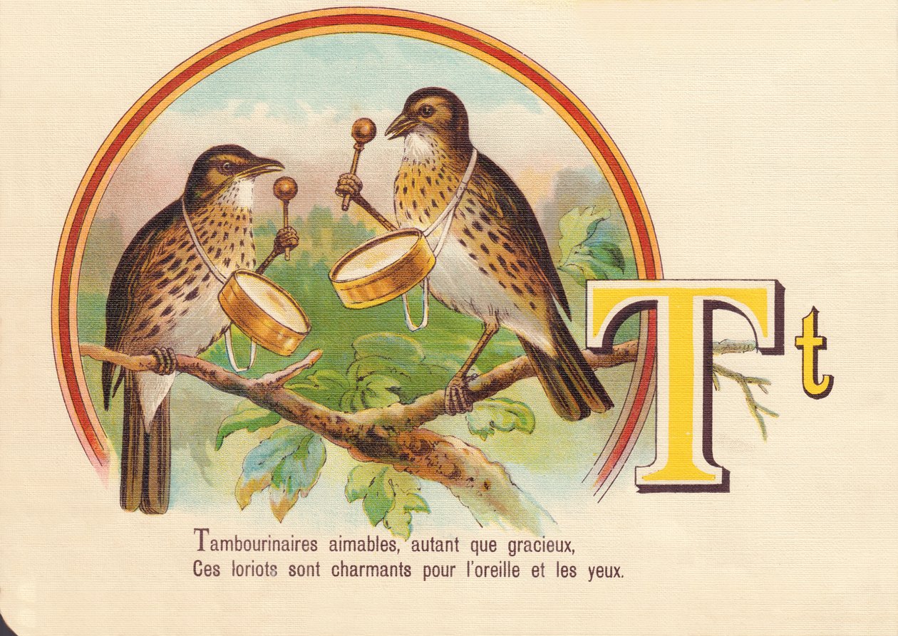 Tambourinarians kind, as much as graceful, These loriots are charming for the ear and eyes by French School