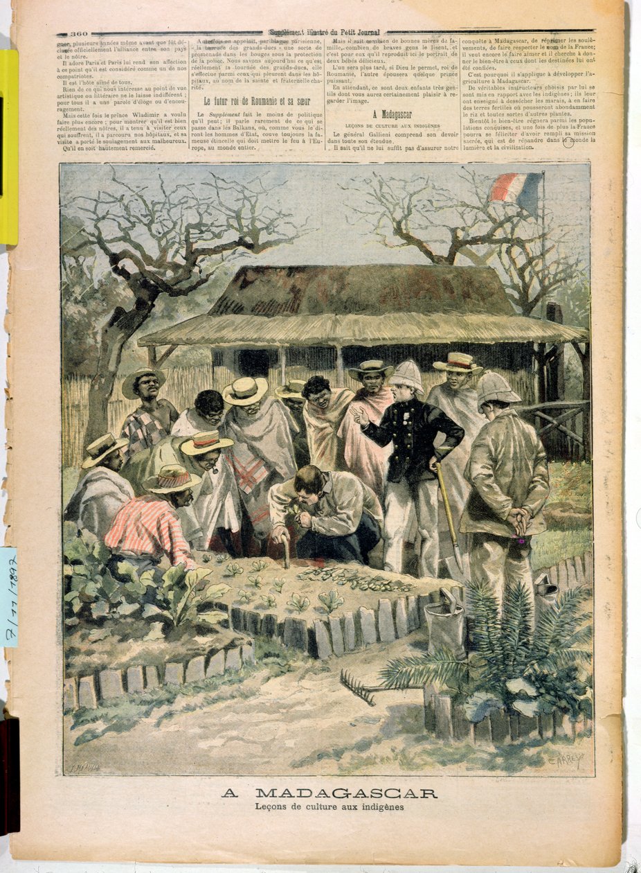 Teaching methods of cultivation to the natives of Madagascar, from Le Petit Journal, 7th November 1896 by French School