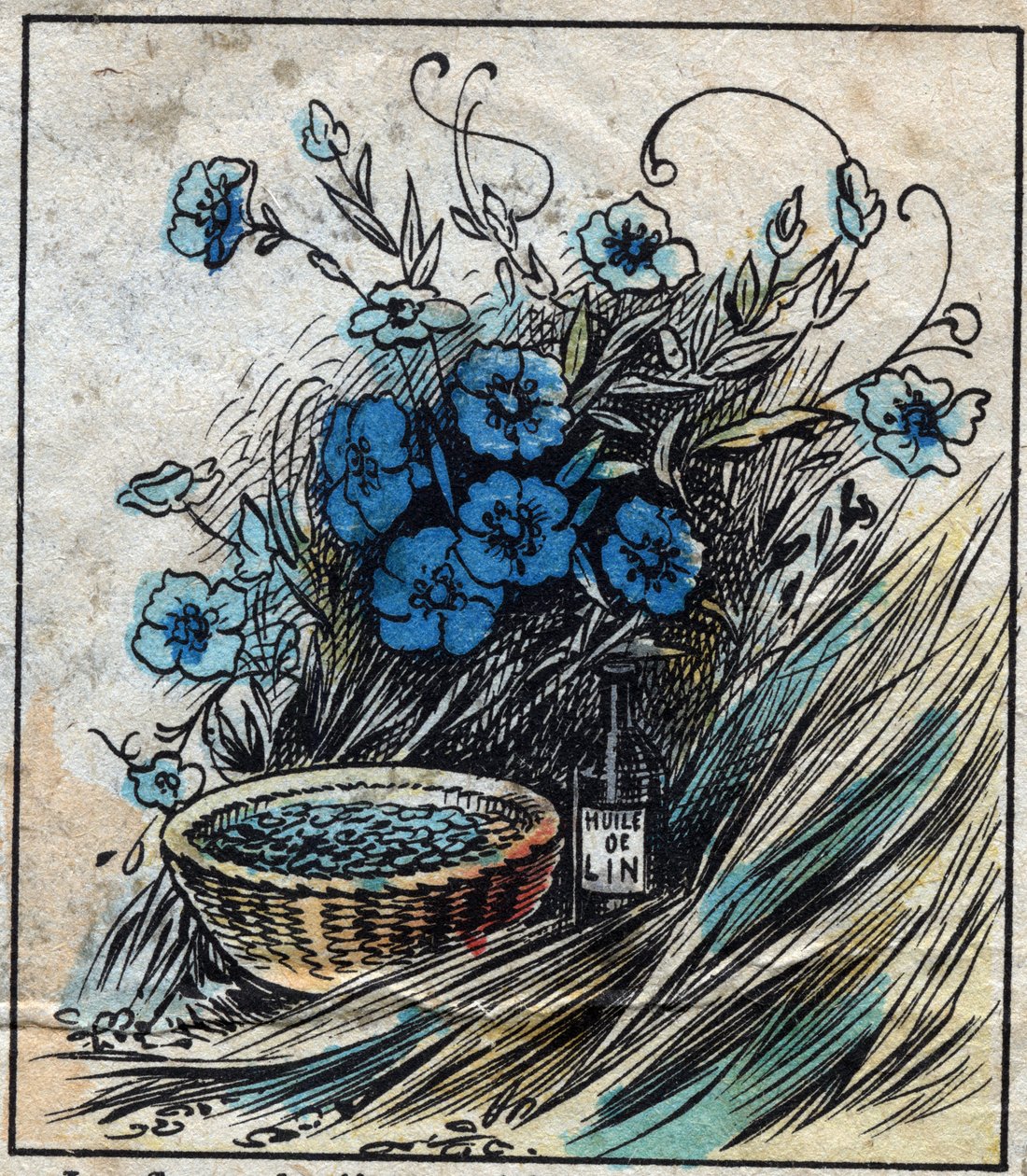 Textile, linen. Flax flower (blue), stem composed of straw and filaments to make linen yarn. Seed uses in medicine and from which oil is extracted for industry. Engraving. Epinal imaging late 19th century. by French School