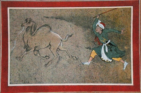 The Angry Camel Driver, Illustration from 