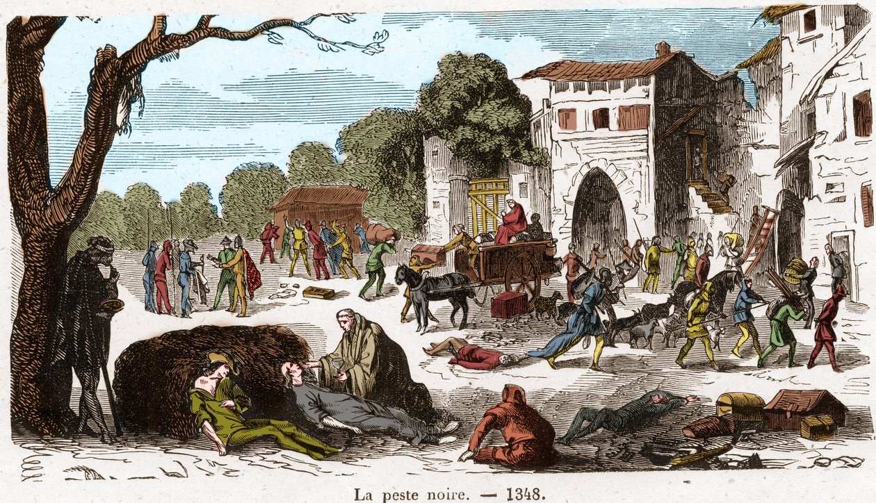 The Black Plague in 1348 - Engraving in 