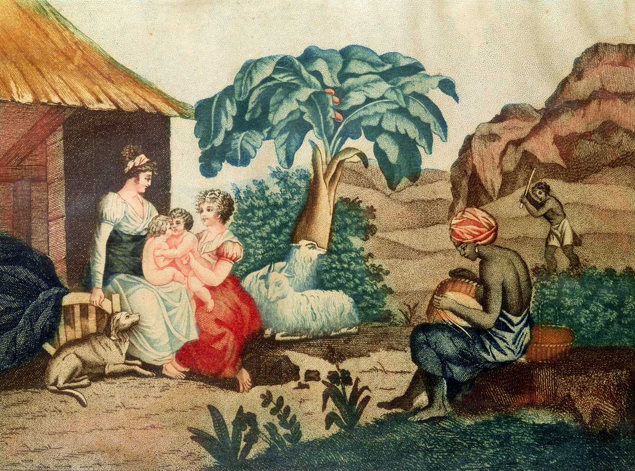 The Childhood of Paul and Virginie, from 