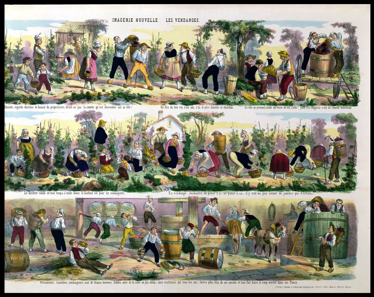 The Grape Harvest, Imagerie de Pont-a-Mousson by French School