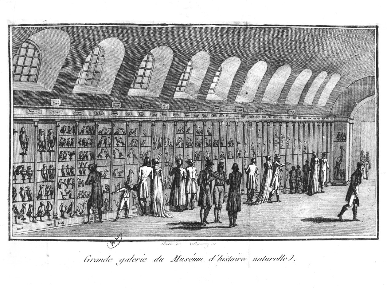 The Great Gallery of the Museum of Natural History in Paris by French School