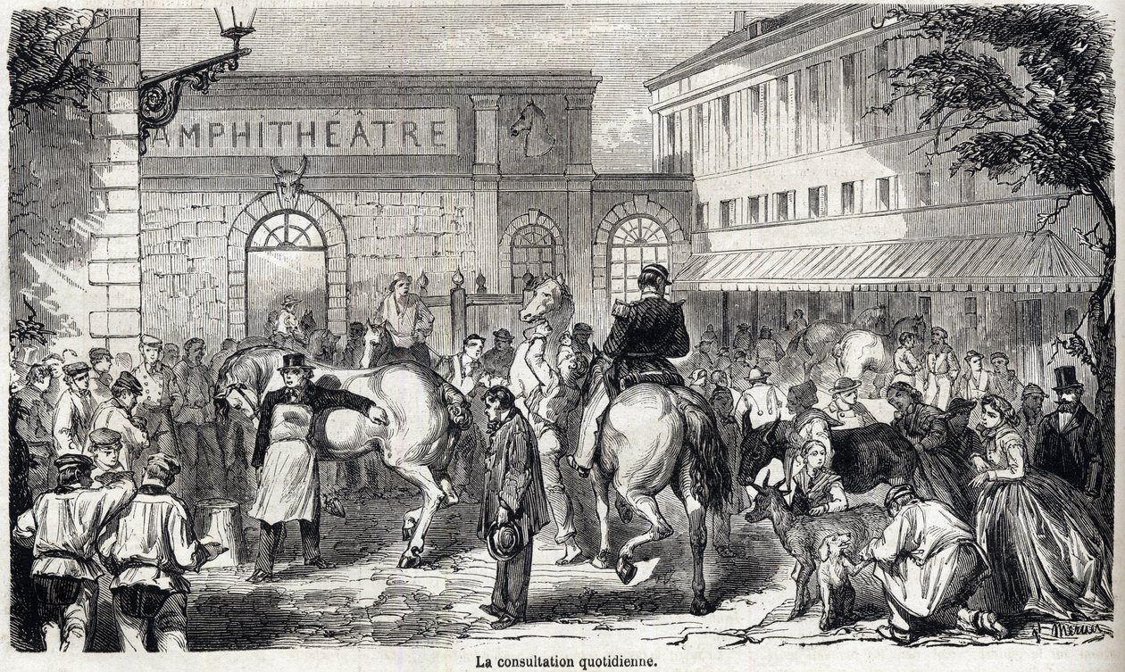 The National Veterinary School of Alfort - Engraving in 
