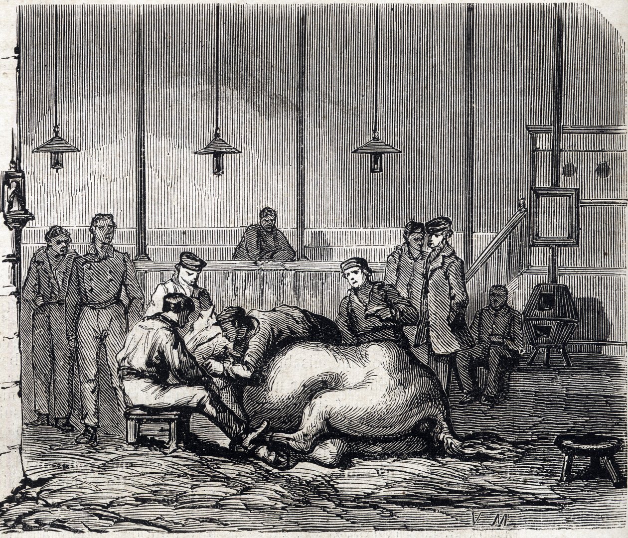 The National veterinary school of Alfort - Les grandes école de france - école veterinaire de maison alfort en 1866 - la salle de dissection - Engraving in Le Monde Illustré of 1866 by French School