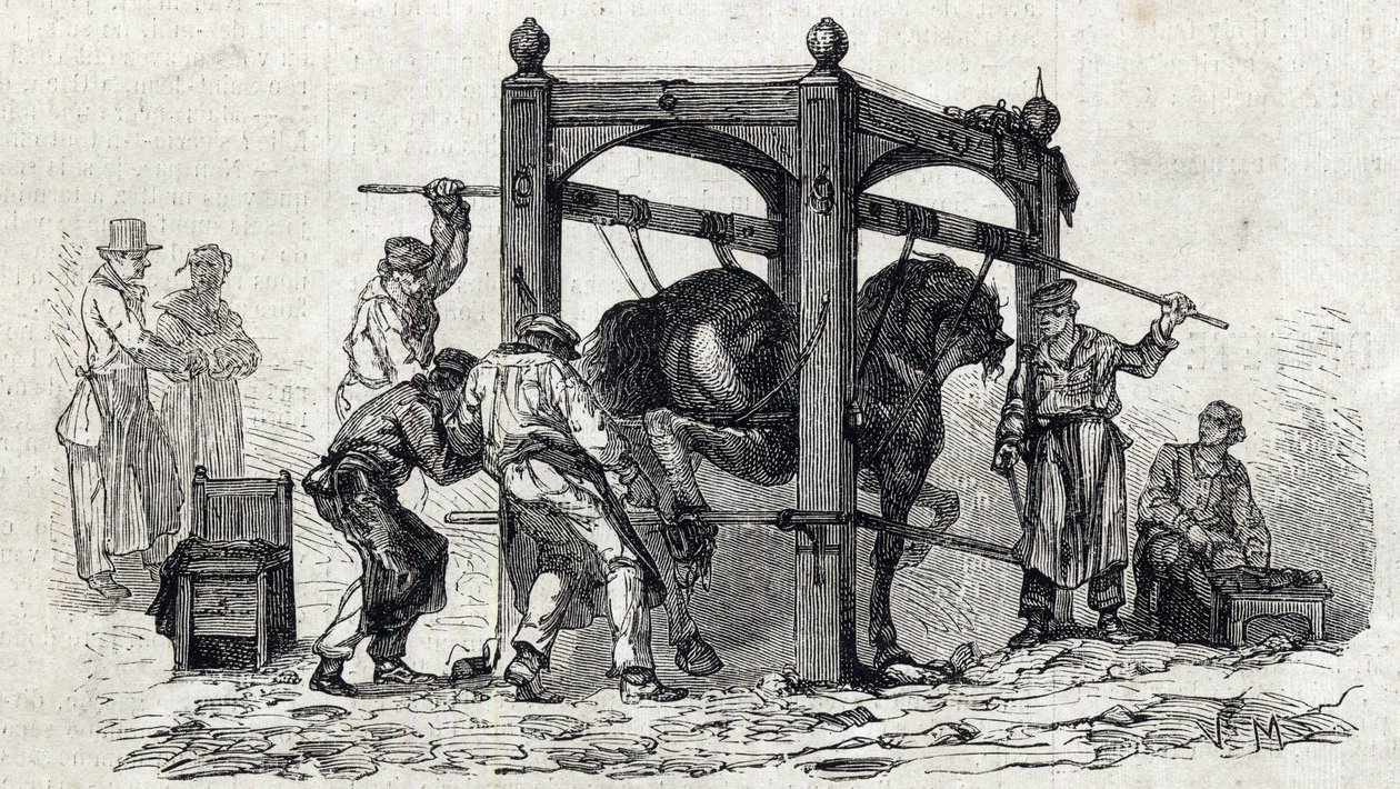 The National veterinary school of Alfort - Les grandes écoles de France - école vétérinaire de maison Alfort en 1866 - le ferrage des chevaux rétifs - Engraving in 