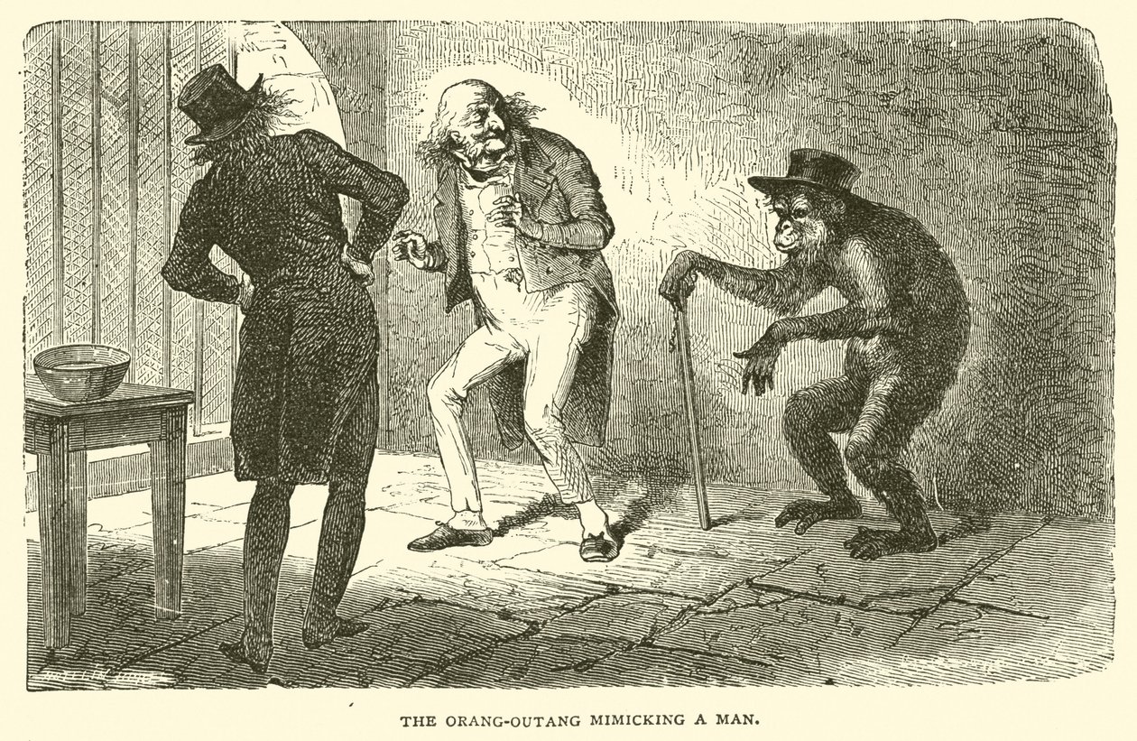 The Orangutan Mimicking a Man by French School