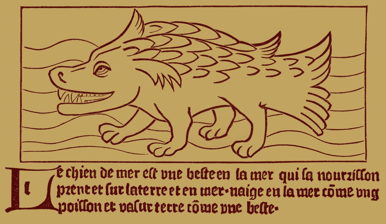 The Sea-Dog by French School
