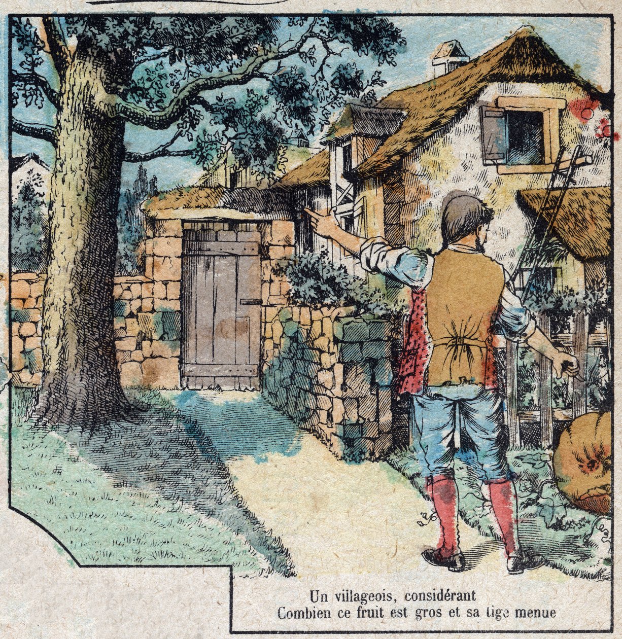 The Acorn and the Pumpkin. Fables by Jean de La Fontaine (1621-95). Imaging of Epinal from the End of the 19th Century by French School