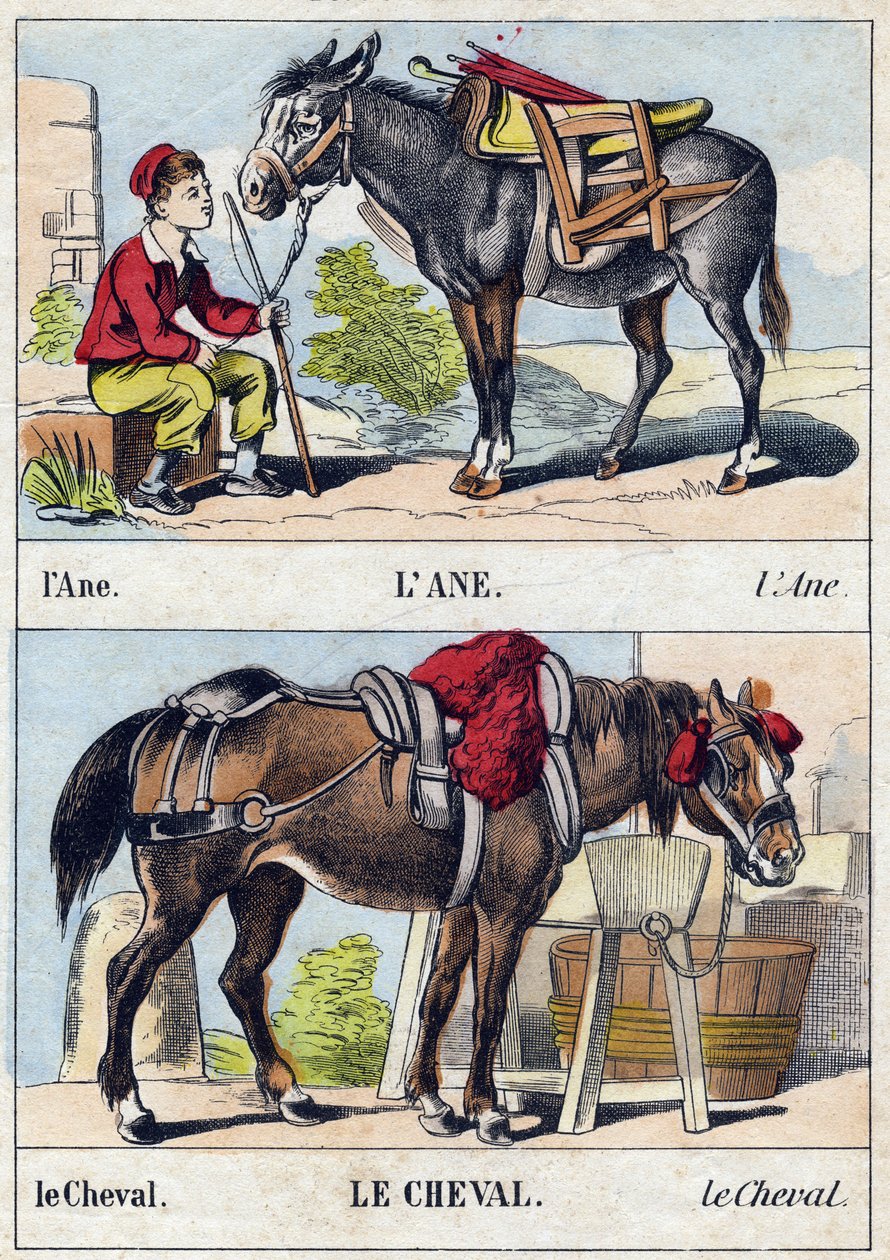 The Donkey and the Horse (Engraving in "Buffon Alphabet des Animaux") by French School