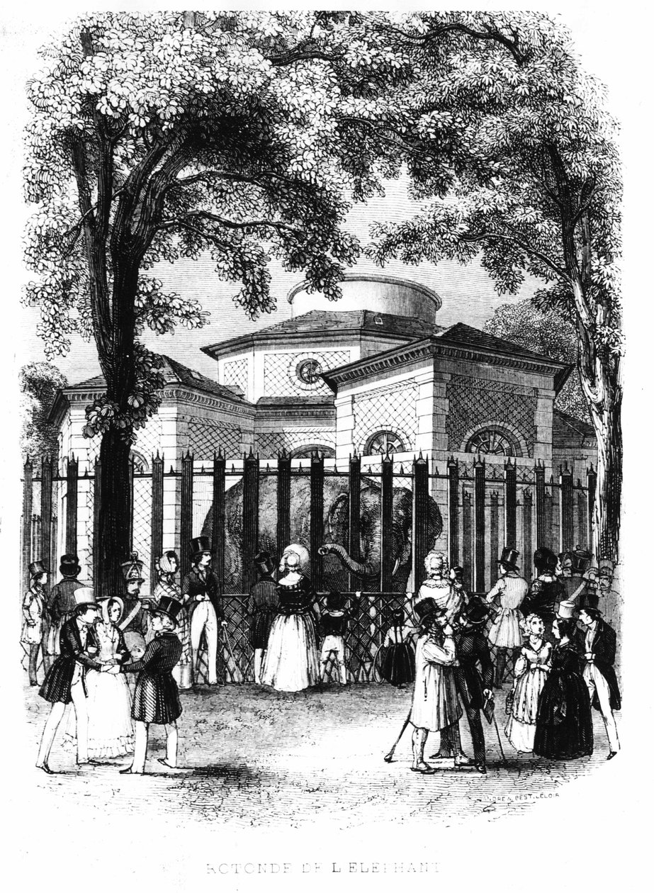 The Elephant Rotunda from the Garden of Plants in Paris - Engraving by French School