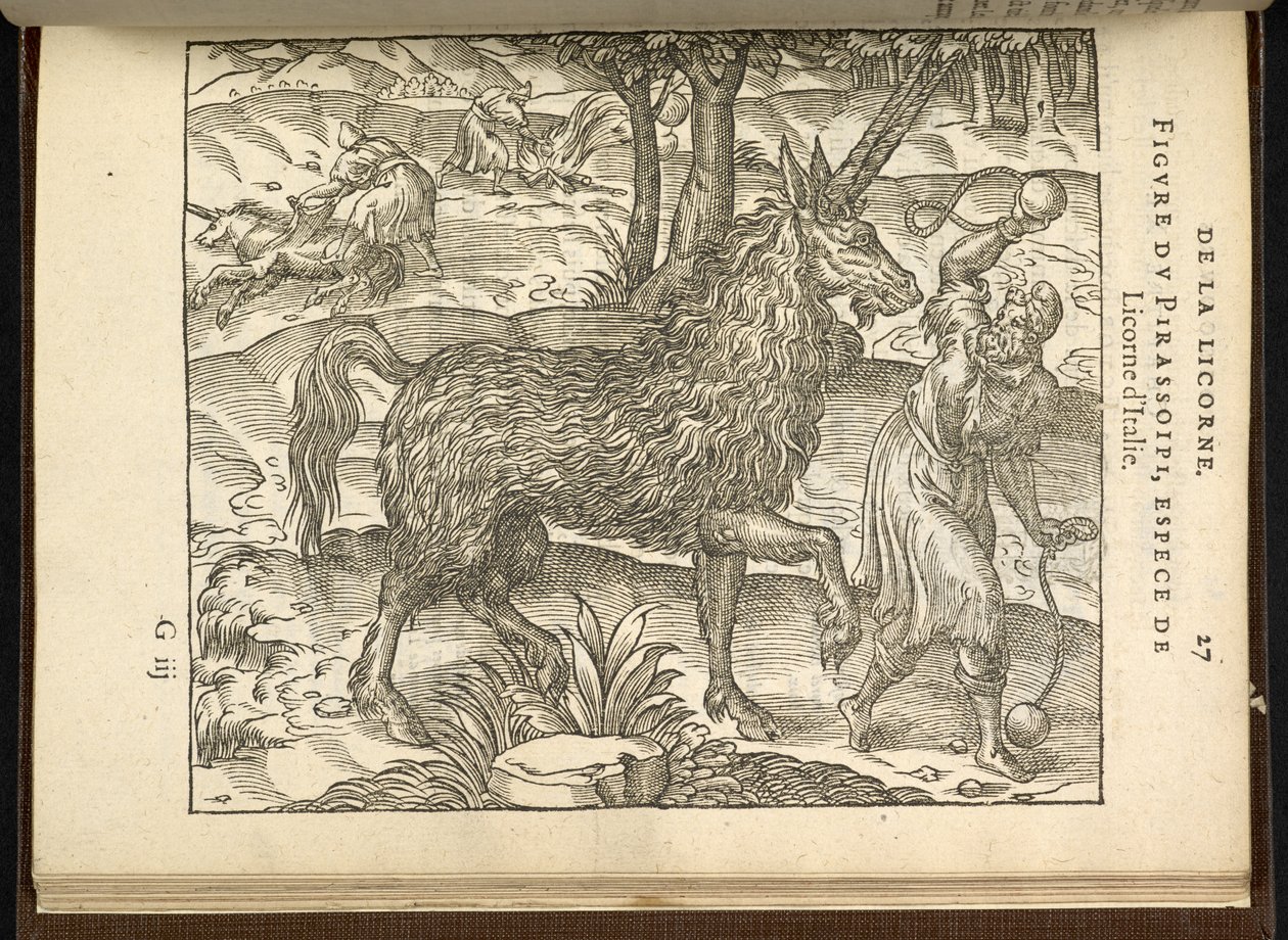 The hunting of a twin-horned unicorn (a pirassoipi.) from 
