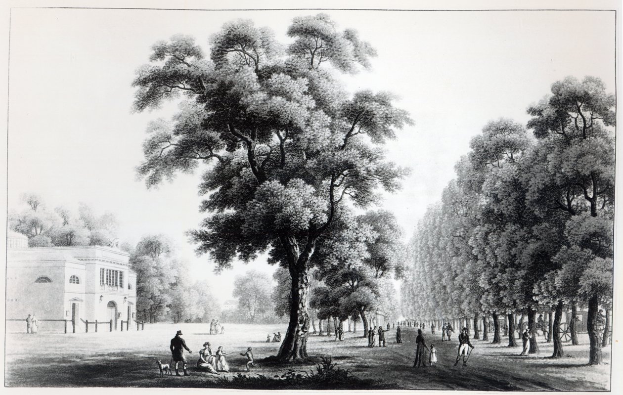The Main Avenue in the Prater, Vienna, 1821 by French School