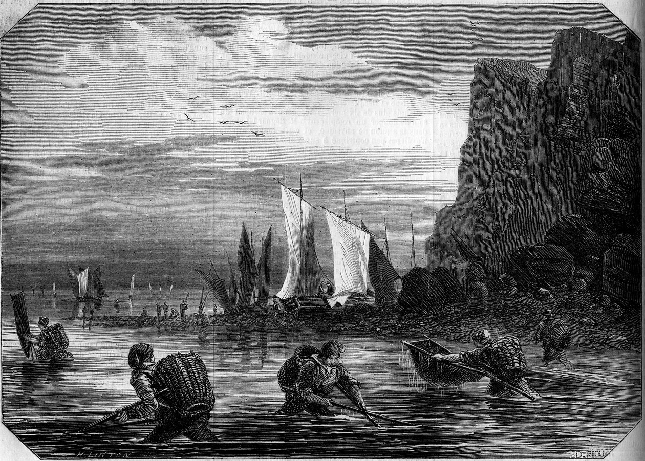 The shrimp fishing in the vicinity of Le Havre by French School
