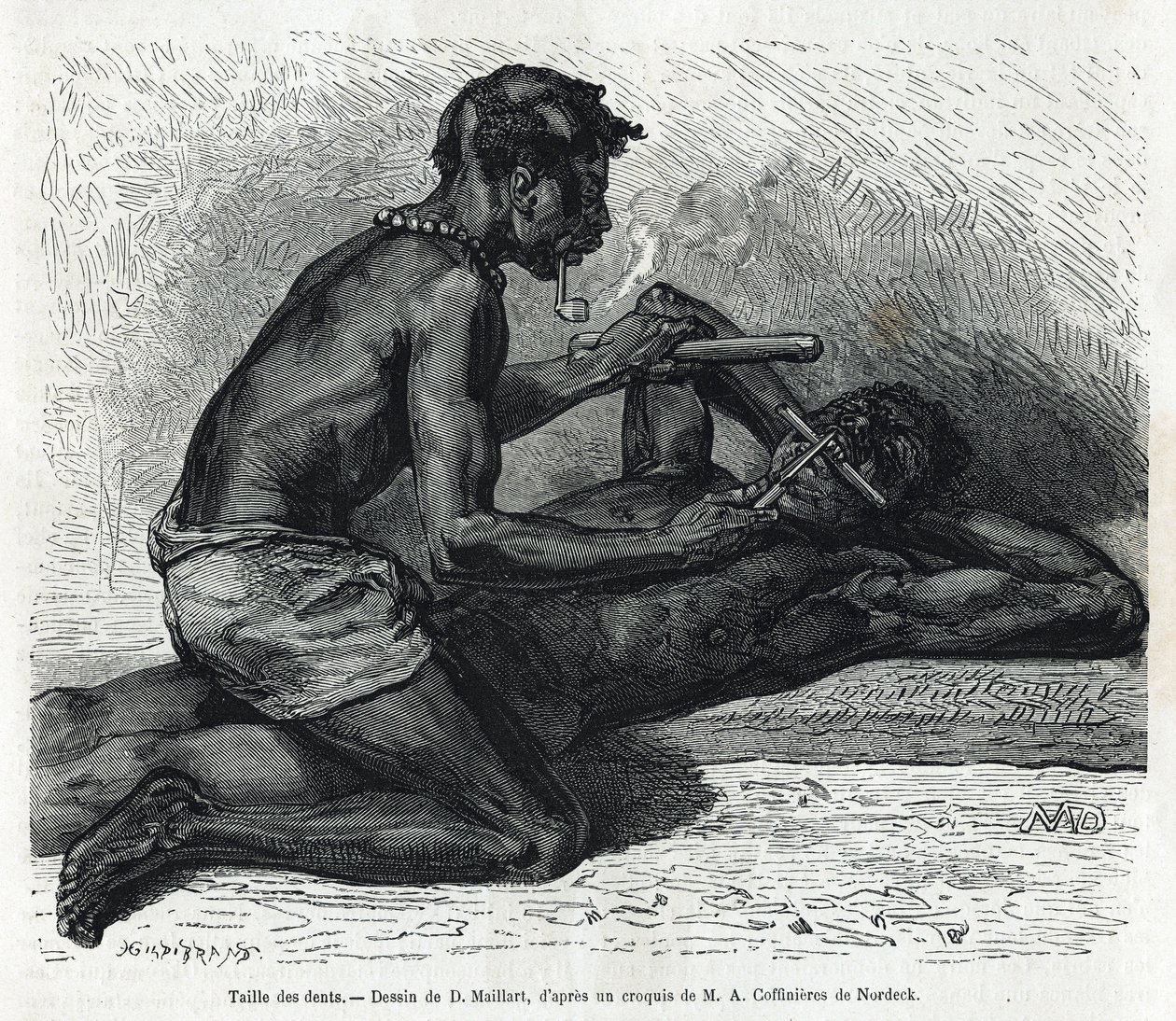 The size of the teeth in the Okanda. Drawing by D. Maillard, to illustrate the story of a trip to Gabon and the Ogooué River in 1875-1877, by Alfred Marche. Engraving in Le tour du monde by French School