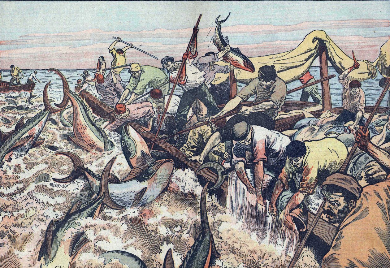 Tuna Fishing in Tunisia: 1925 by French School