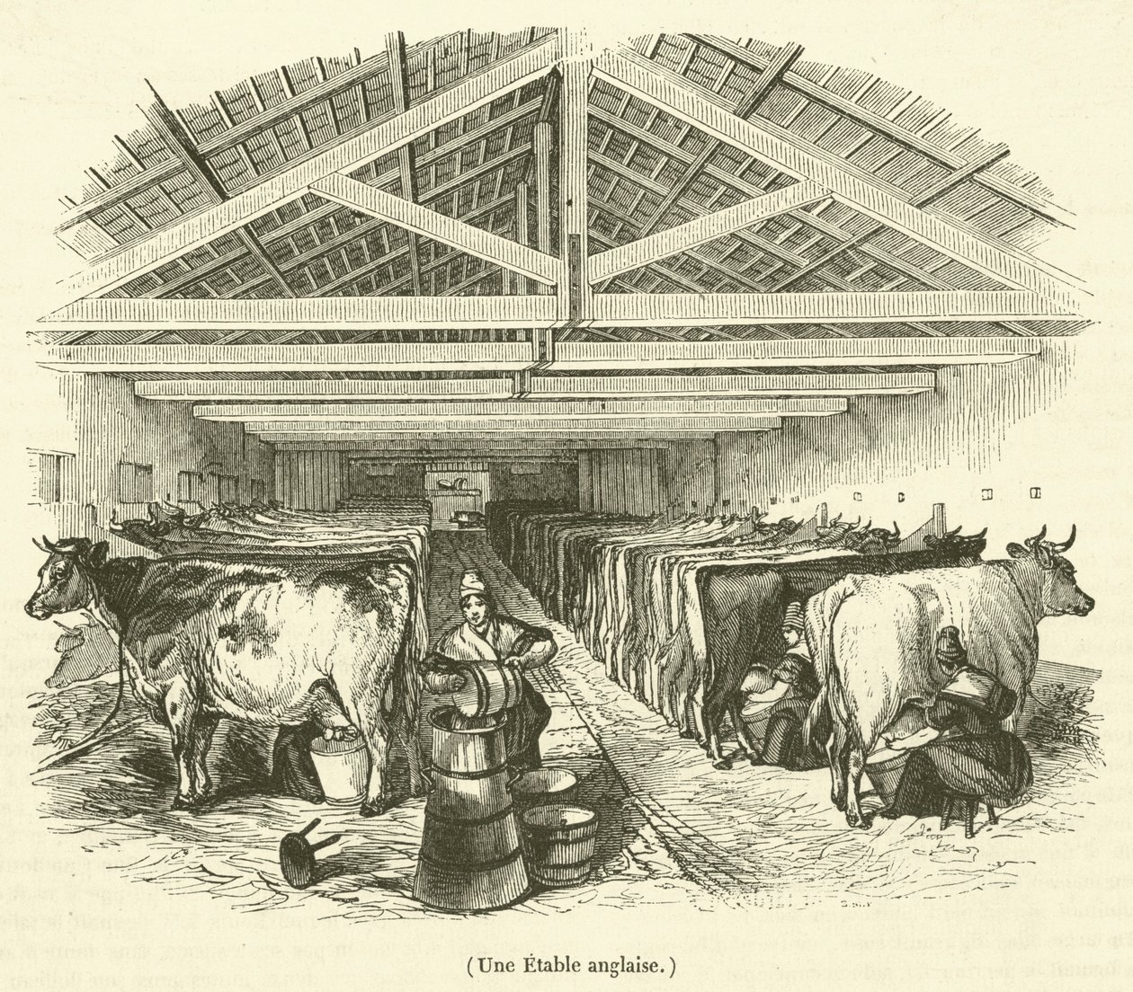 An English Stable by French School