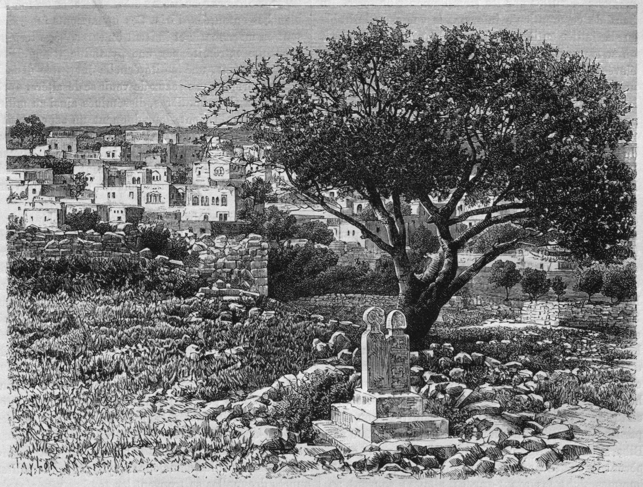 View of Safed, from La Syrie daujourdhui. Voyages dans la Phenicie, le Liban et la Judee. 1875-1880 by Louis Charles Emile Lortet, 1884 by French School