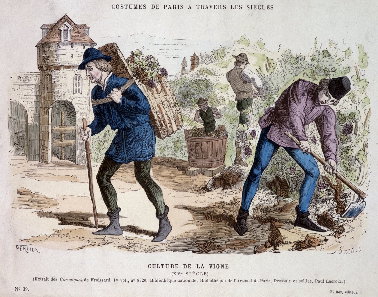 Vine culture in the 15th century - in 
