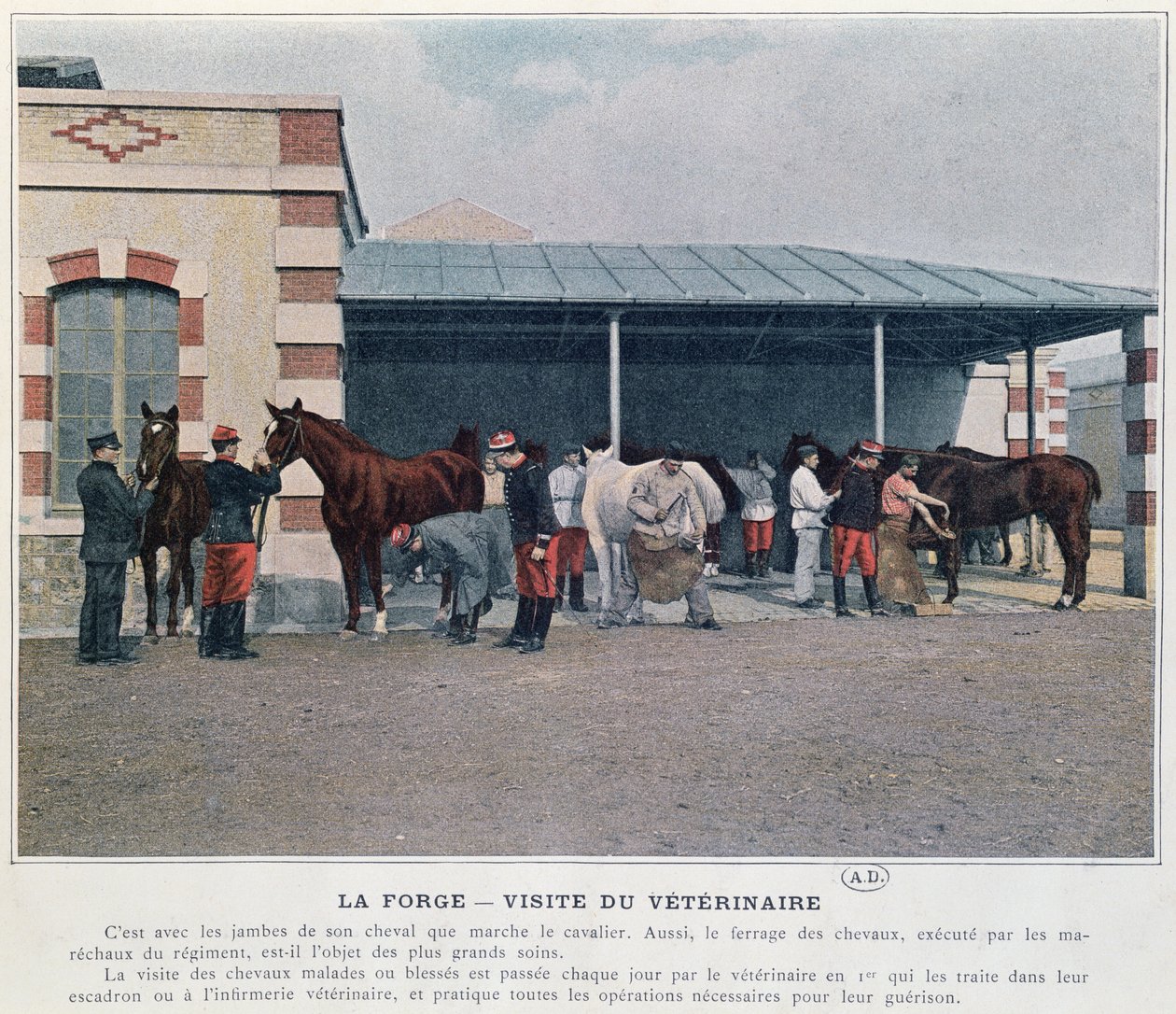 Visit of the Army Veterinarian to the Barracks, 1897 by French School