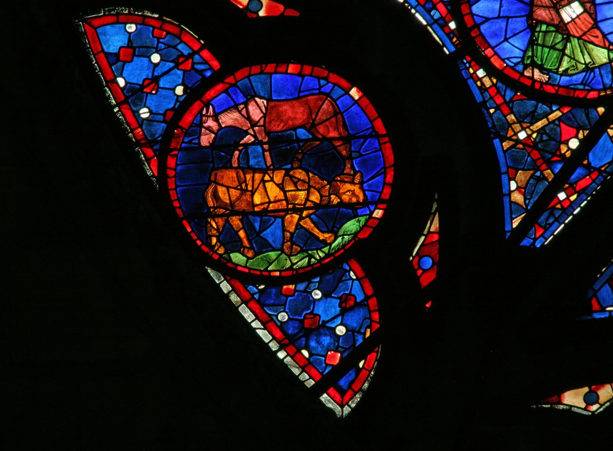 Window w115 depicting the Creation of the animals by French School