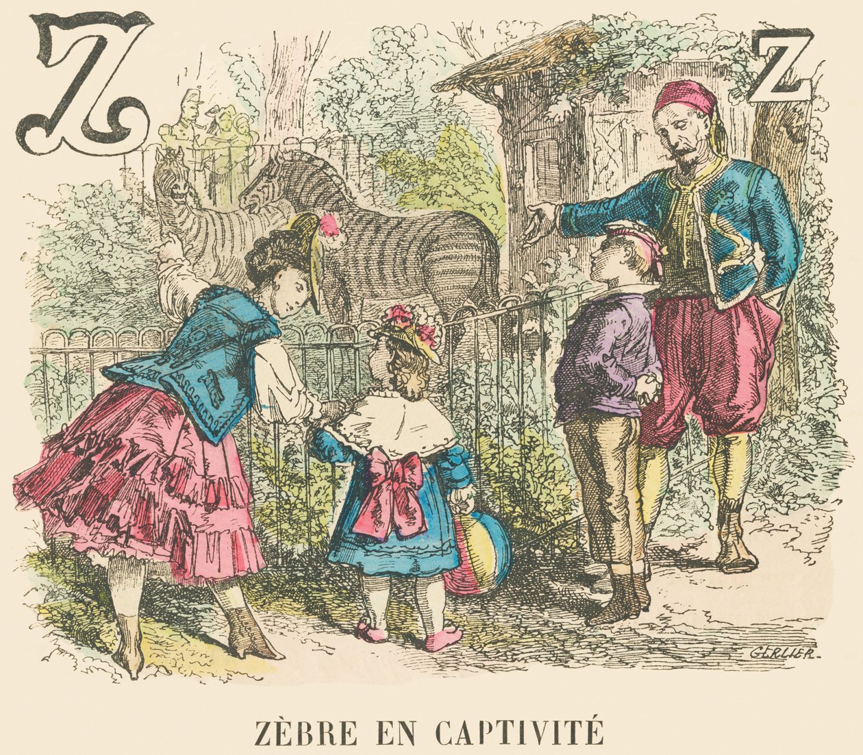 Zebra in Captivity by French School