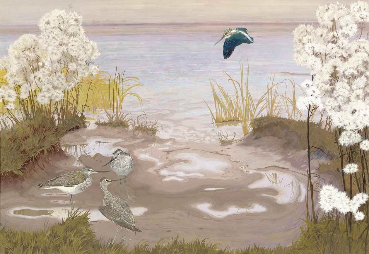 Bird on the Mud Flats of the Elbe by Friedrich Lissmann