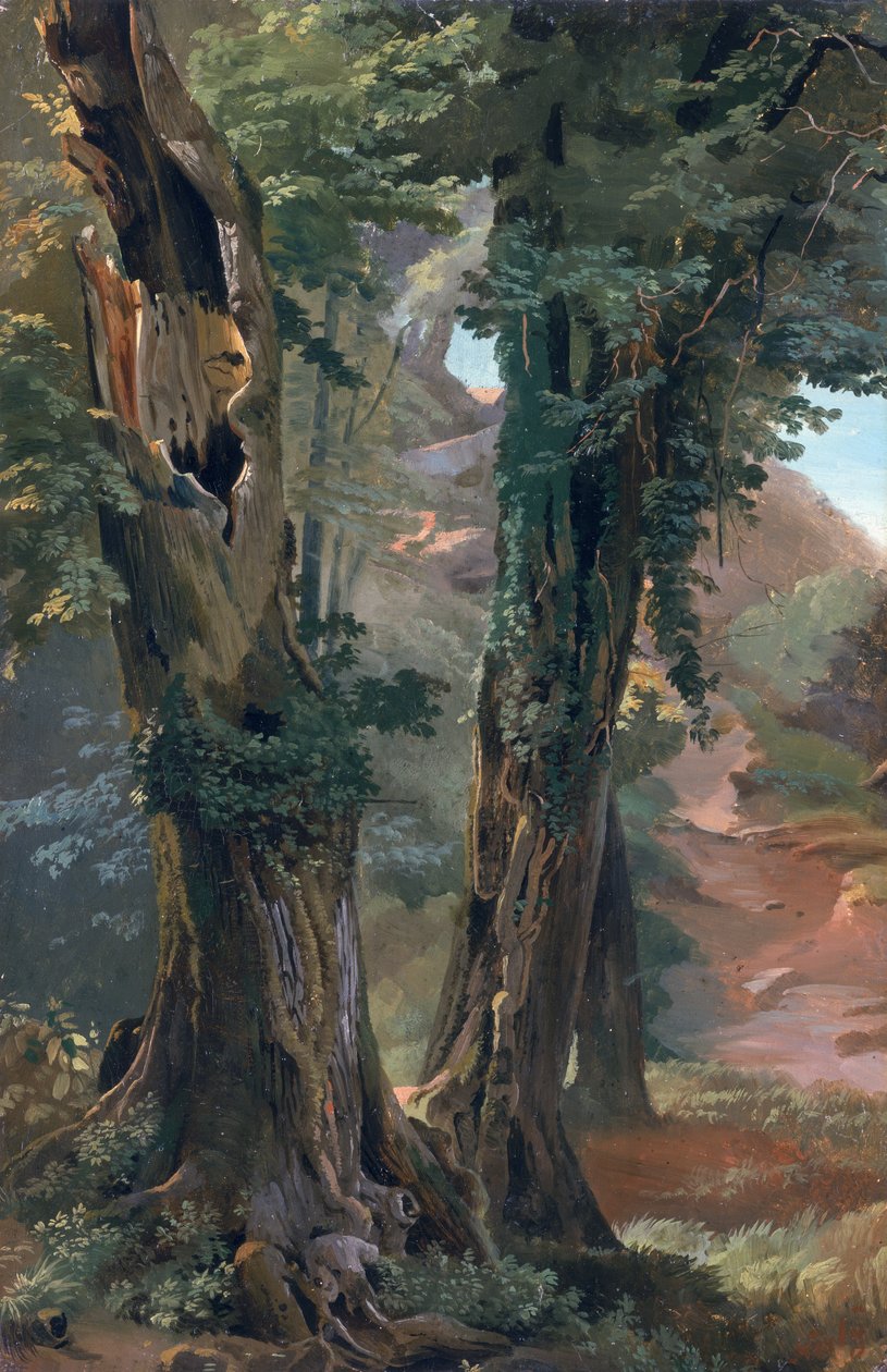 Old Elms by Friedrich Nerly