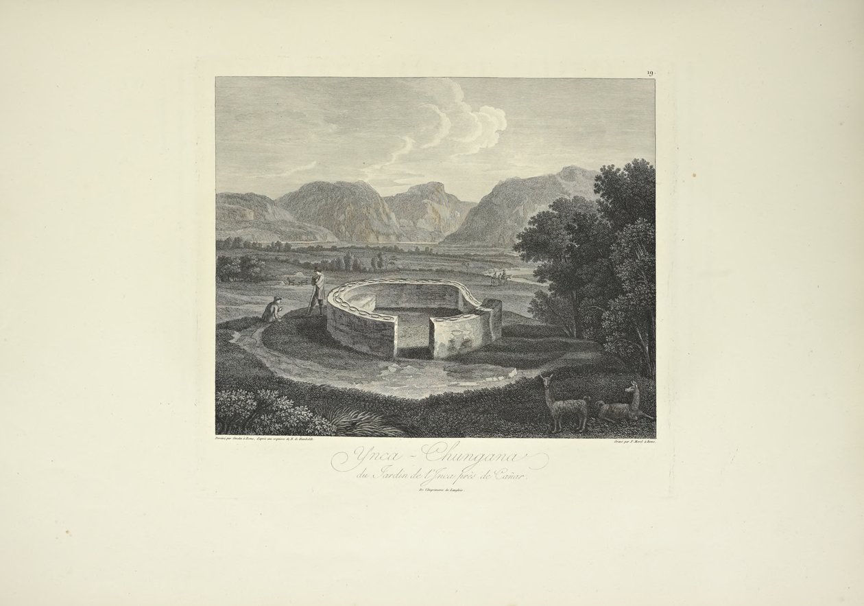 Ynca-Chungana, from the Garden of the Inca near Canar, drawn by Gmelin, engraved by Morel, illustration from 