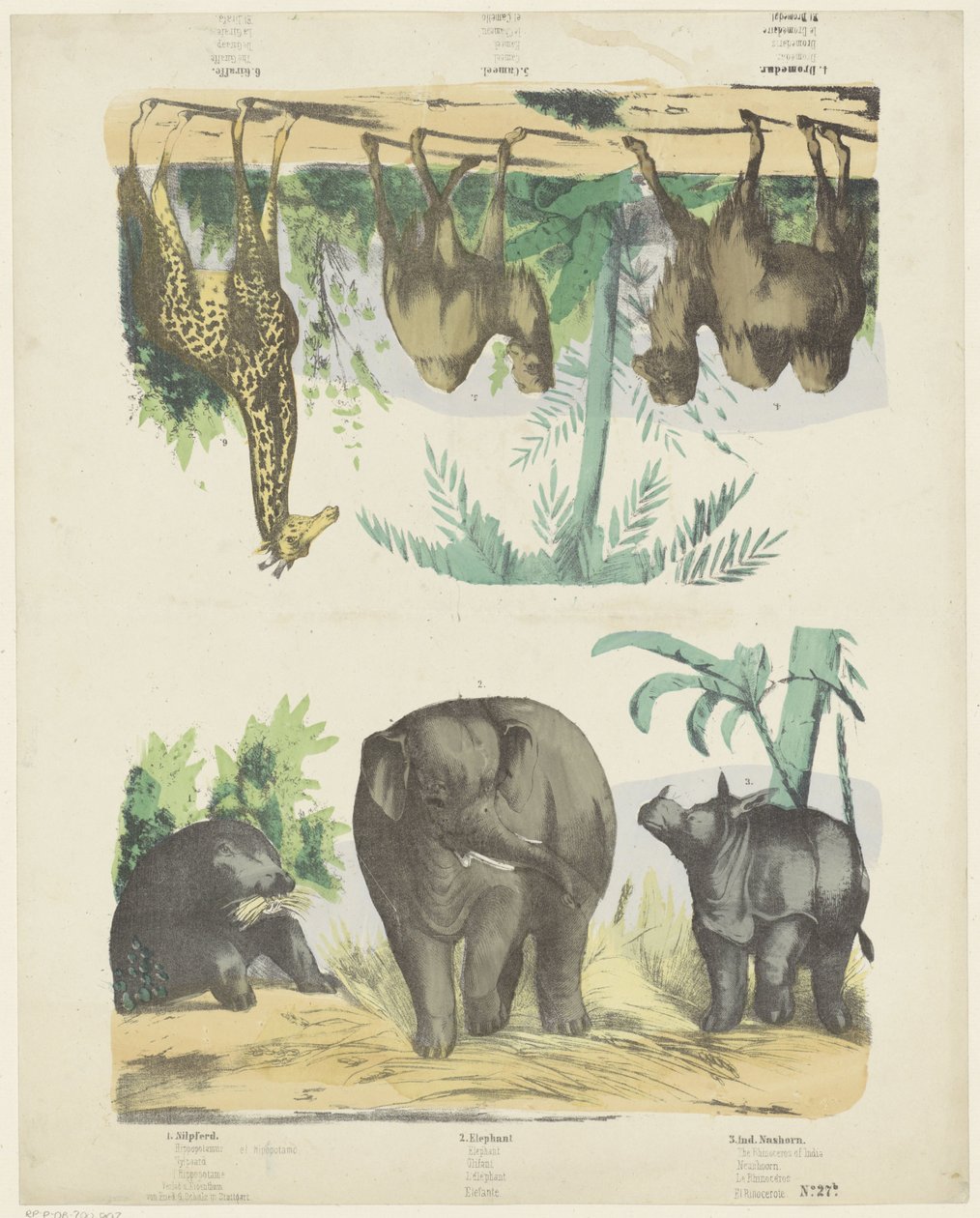 Wild Animals by Friedrich Gustav Schulz