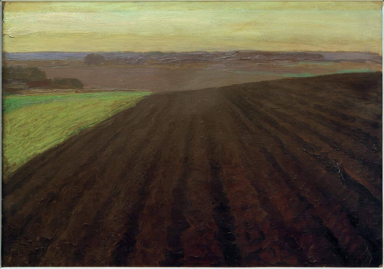 Moor Fields by Fritz Mackensen